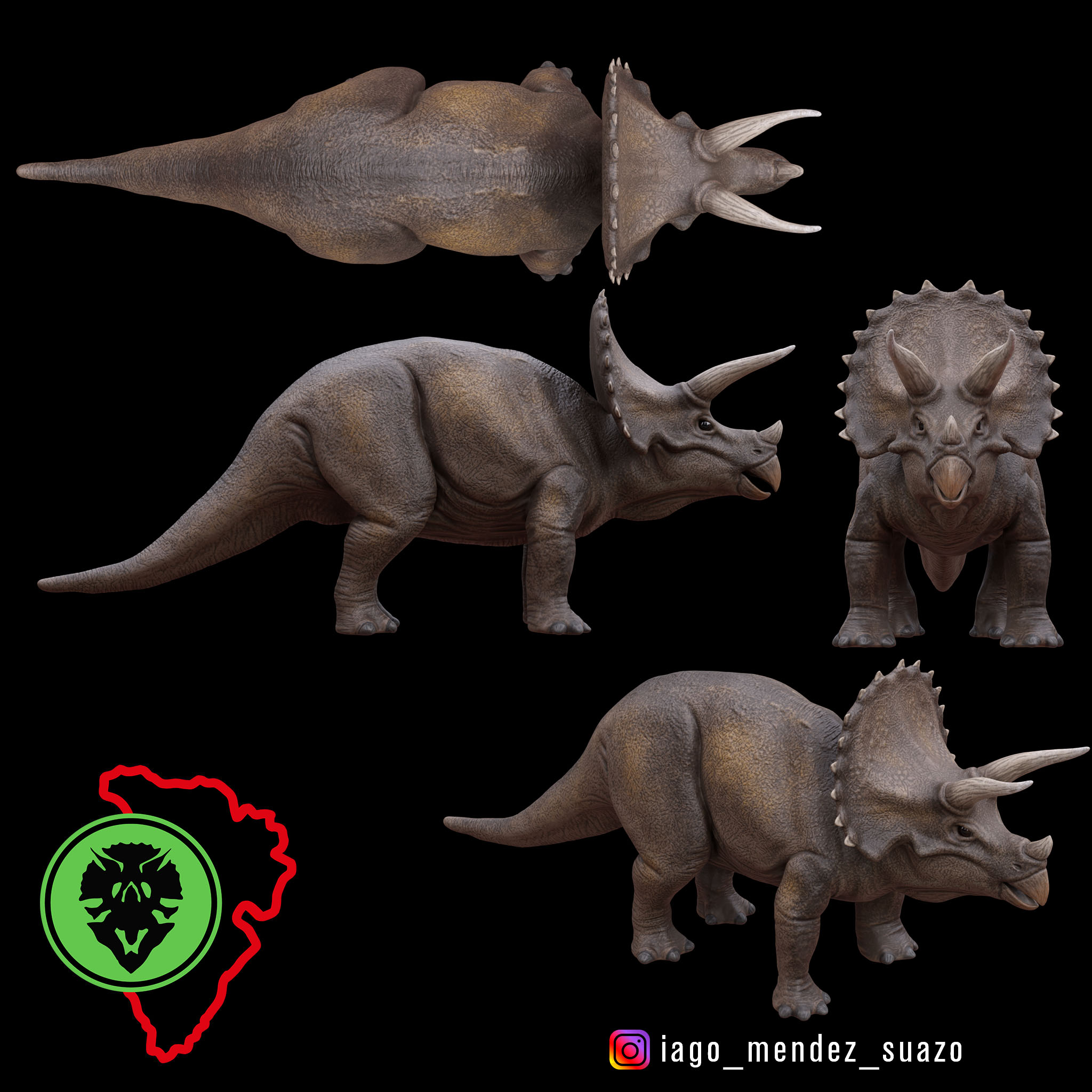 Triceratops preview image 1